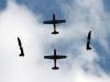 PC7-Team